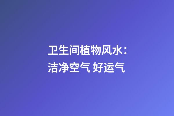 卫生间植物风水：洁净空气 好运气